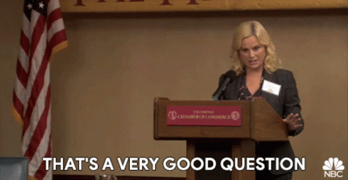 Thats A Very Good Question Amy Poehler GIF - Thats A Very Good Question Amy Poehler Parks And Rec GIFs