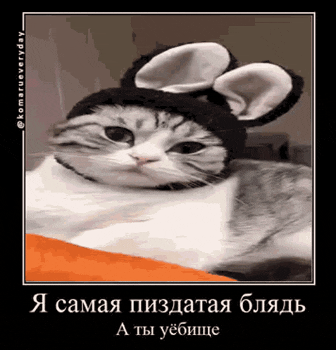 a picture of a cat wearing bunny ears and a black hat
