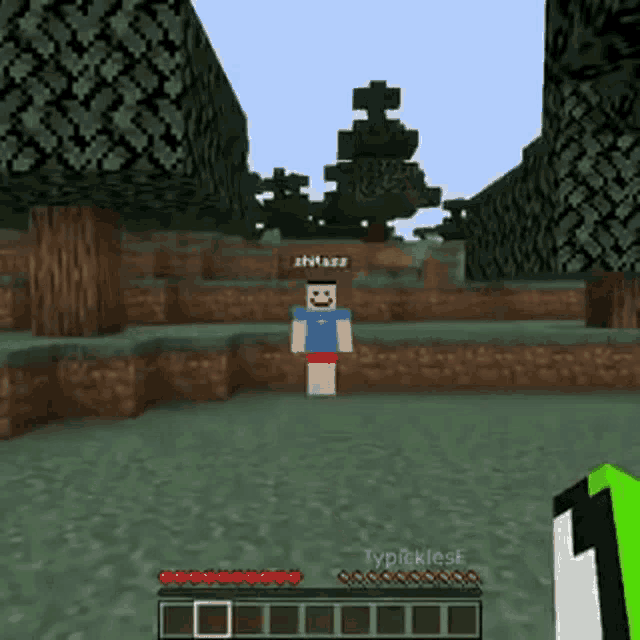 a screenshot of a video game called minecraft with a character named shytaass