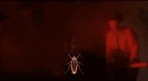 a cockroach is glowing in the dark with a man behind it