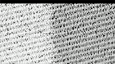 a black and white background with a lot of dots on it