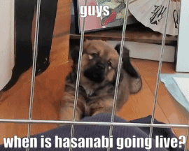Hasanabi Hasanabi Is Live GIF - Hasanabi Hasanabi Is Live Hascord GIFs