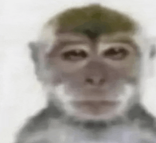 a blurry picture of a monkey 's face with a helmet on .