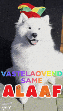 a white dog wearing a jester 's hat says " alaaf " on the bottom