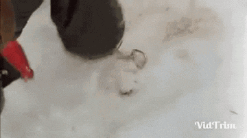 a person is standing in the snow with a bottle in their hand