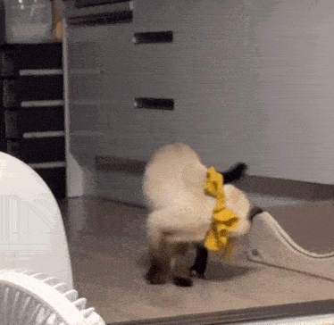 a dog wearing a yellow ruffled scarf is standing next to a fan in a room .