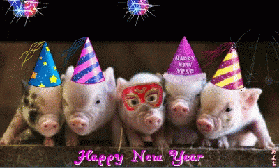 Year Of The Pig Chinese New Year GIF - Year Of The Pig Chinese New Year Happy New Year2019 GIFs