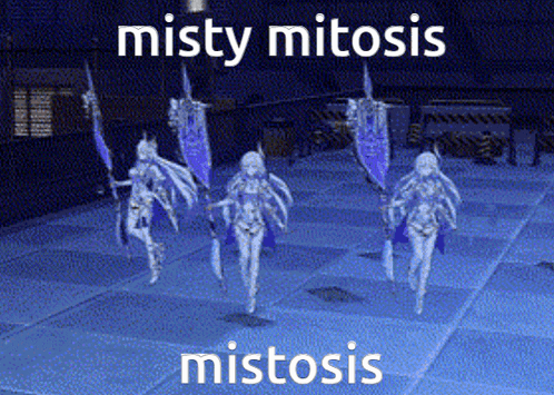 a group of anime characters are walking on a tiled floor with the words misty mitosis mistosis written above them .
