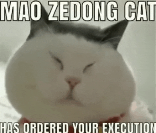 a white cat with its eyes closed and a caption that says mao zedong cat has ordered your execution