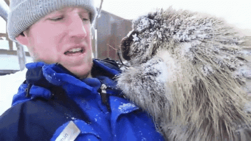 No, See, We'Re Friends Now GIF - Porcupines Friends Awkward GIFs