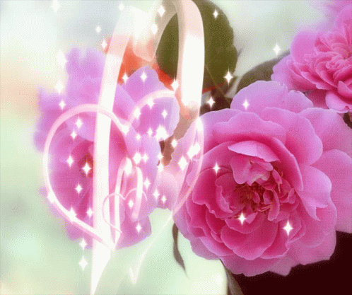 Flower Roses GIF - Flower Roses Heart GIFs