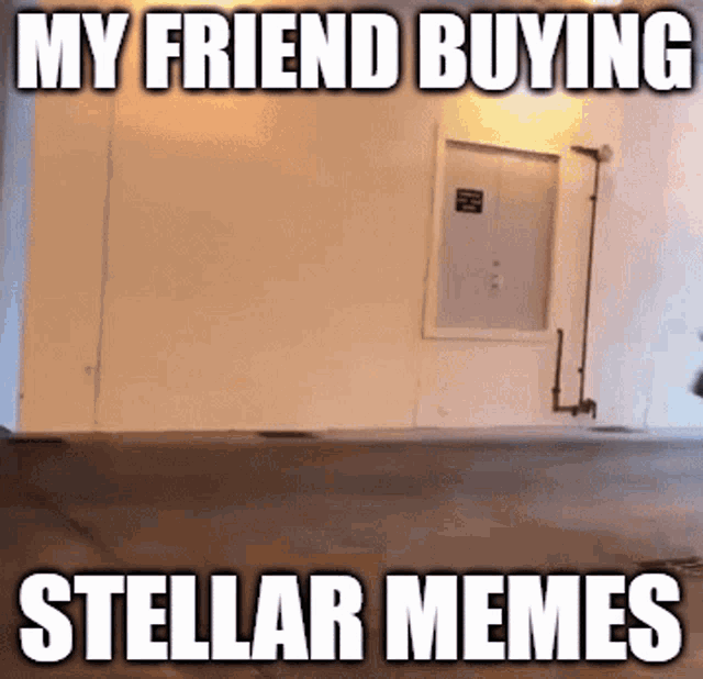 Buying Stellar Memes GIF - Buying Stellar Memes Friend GIFs
