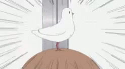 Anime Bird GIF - Anime Bird Cute GIFs