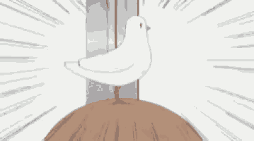 a white bird is standing on top of a wooden block .