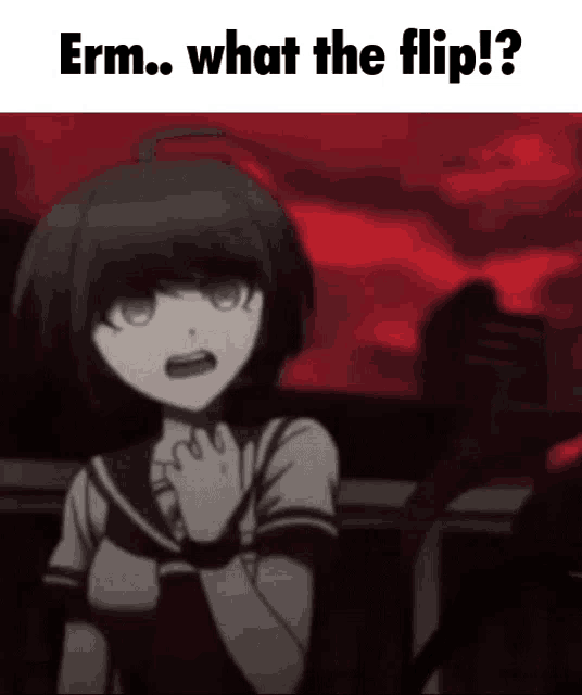 a black and white anime girl is standing in front of a red background with the words `` erm ... what the flip ? ''