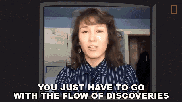 You Just Have To Go With The Flow Of Discoveries Dr Jingmai Oconnor GIF