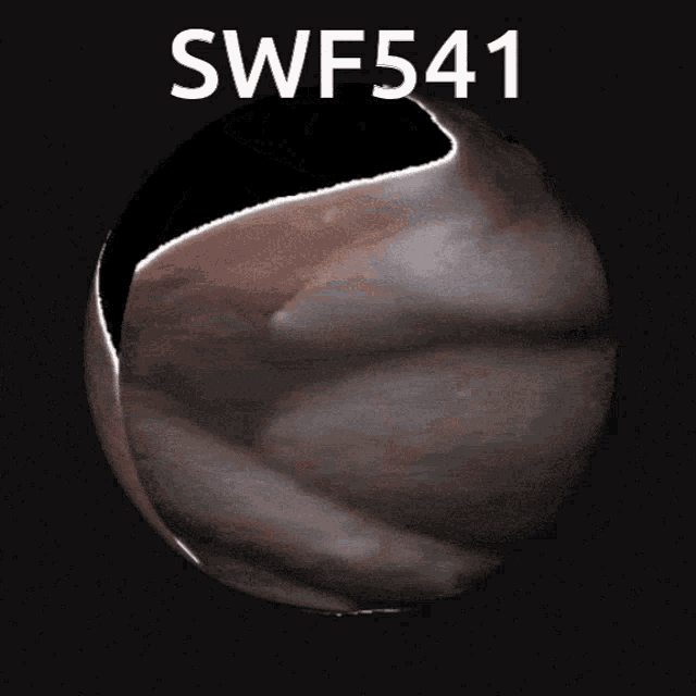 Swf541 Cwic GIF - Swf541 Cwic Cold War Iron Curtain GIFs