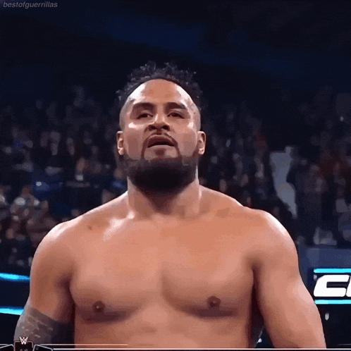a shirtless man with a beard is standing in front of a crowd in a wrestling ring .