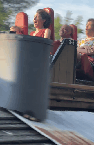 Roller Coaster GIF