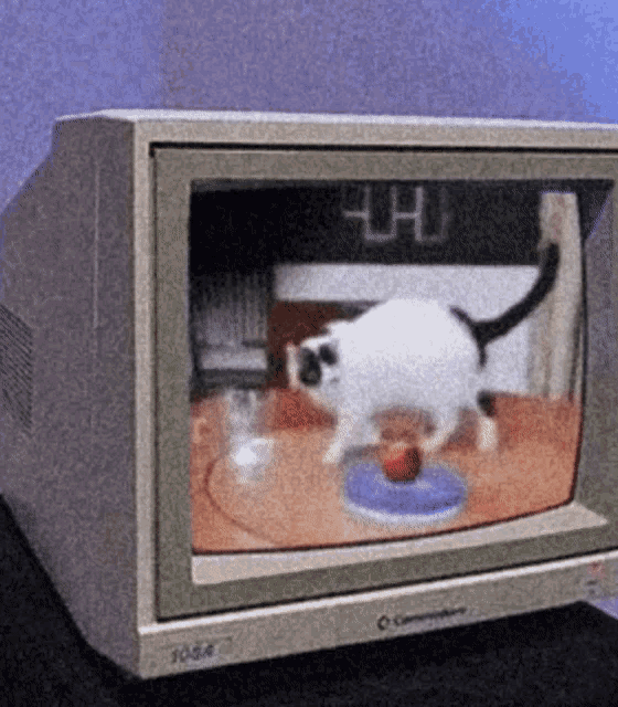 a commodore computer monitor with a cat on it