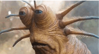 a close up of a creature with three eyes and a long neck .