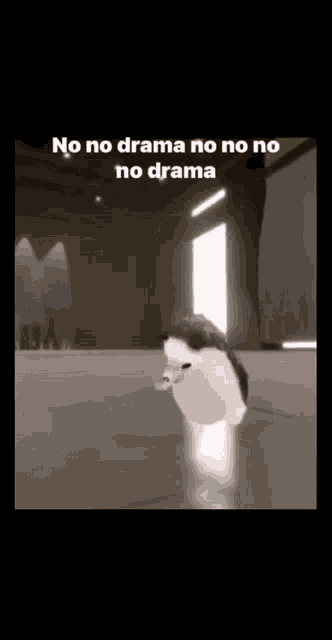 a cat is walking in a dark room with the words `` no no drama no no no no no drama '' written on it .
