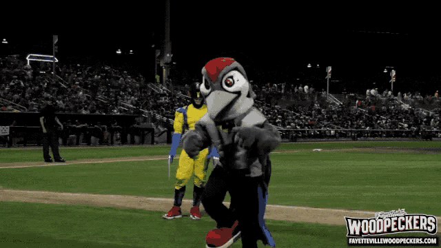 Woodpeckers Nc North Carolina GIF