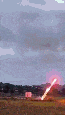 a fireworks display is going off in a field at night