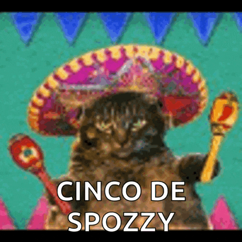 a cat is wearing a sombrero and holding maracas