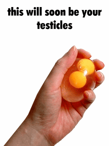 a hand holding an egg with the words this will soon be your testicles