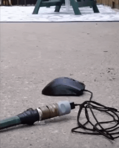a computer mouse is sitting on the ground next to a hose