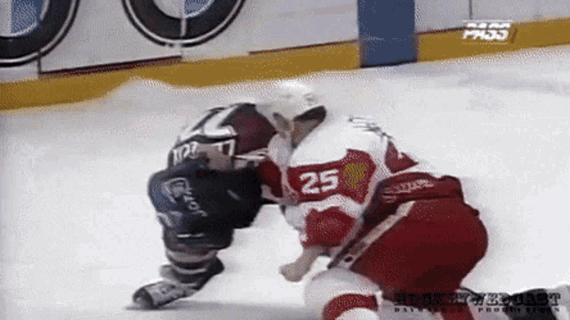 Colorado Avalanche Detroit Red Wings GIF - Colorado Avalanche Detroit Red Wings Brawl GIFs