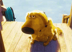 Estoutriste Cachorrotriste Upnasalturas Dug GIF - Im Sad Sad Dog Up Movie GIFs