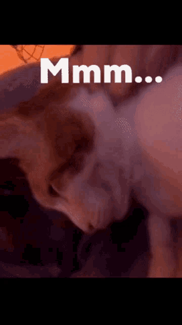 a close up of a cat with a caption that says " mmmm "