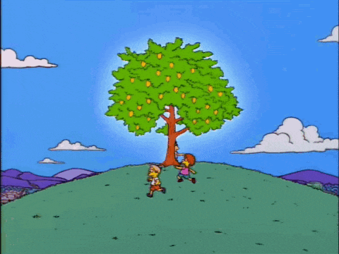 a tree with lots of fruit is on a hill