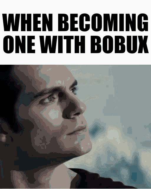 Bobux When Bobux GIF