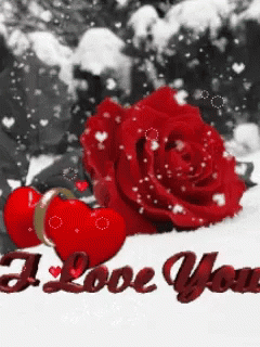 I Love You Hearts GIF - I Love You Hearts Red Rose GIFs