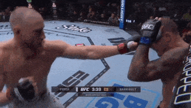 two men are fighting in a ufc ring with a bud light advertisement