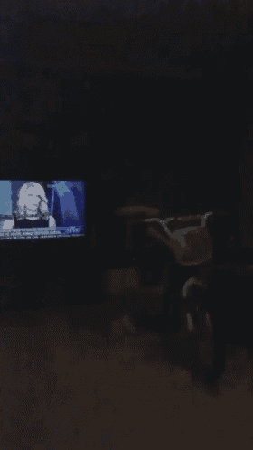 a tv screen shows a woman on the news