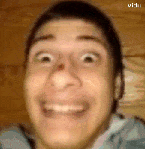 a blurred image of a man 's face with the word vidu below him