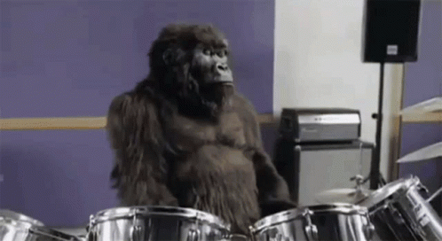 Gorilla Phil Collins GIF - Gorilla Phil Collins Drums GIFs