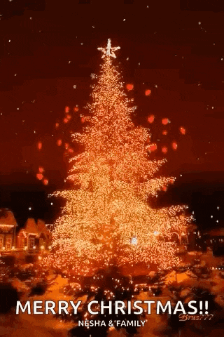 a merry christmas greeting card with a christmas tree with a star on top .