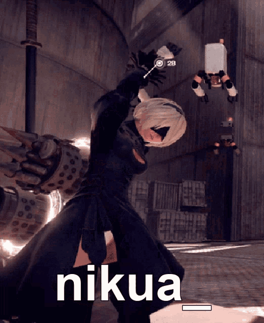 a picture of a video game character with the word nikua on the bottom