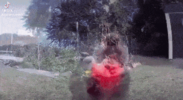 a person in a red shirt is standing in the grass with a tree in the background .
