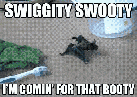 Swiggity Swiggity Swooty GIF - Swiggity Swiggity Swooty Bat GIFs
