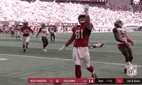 a football player with the number 81 on their jersey