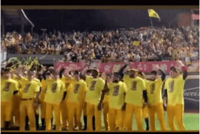 a group of baseball players in yellow uniforms with the number 1 on their shirts