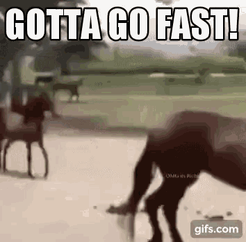 Gotta Go Fast Sonic GIF - Gotta Go Fast Fast Sonic GIFs