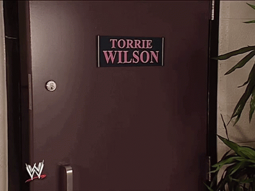 Torrie Wilson Torrie Wilson Wwe GIF - Torrie Wilson Torrie Wilson Wwe Torrie Wwe GIFs