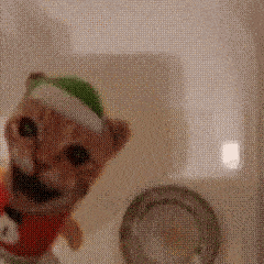 a cat wearing a santa hat and a christmas sweater